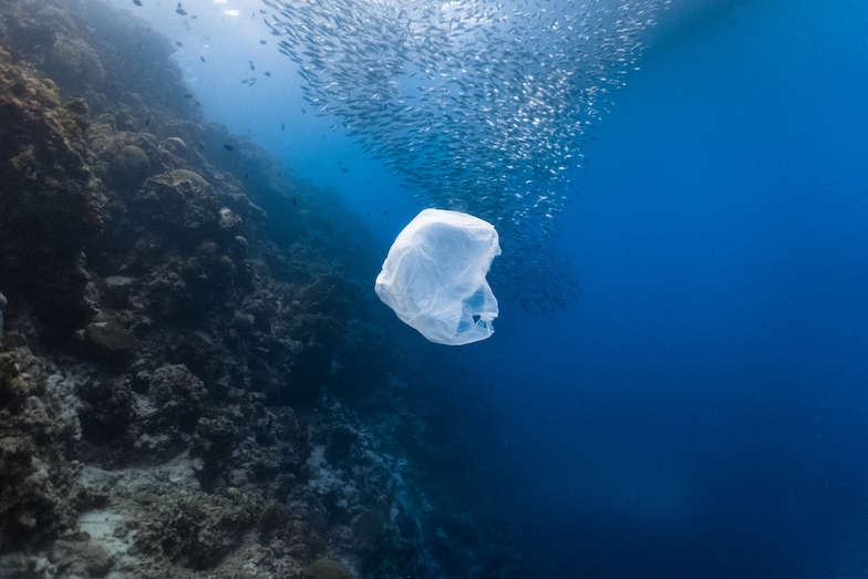 Proč nejsou biologicky rozložitelné plasty řešením plastové krize